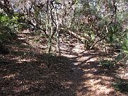 St. Augustine - Jan 2012 127